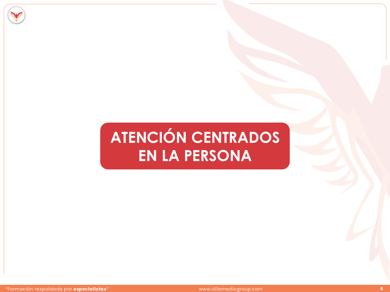 Slide 6