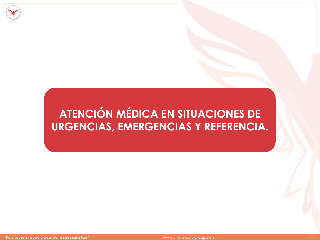 Slide 19