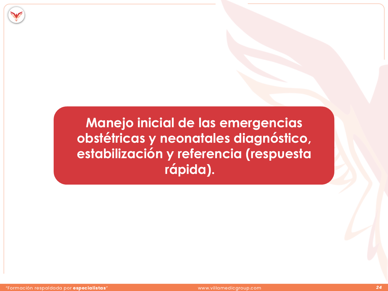 Slide 24