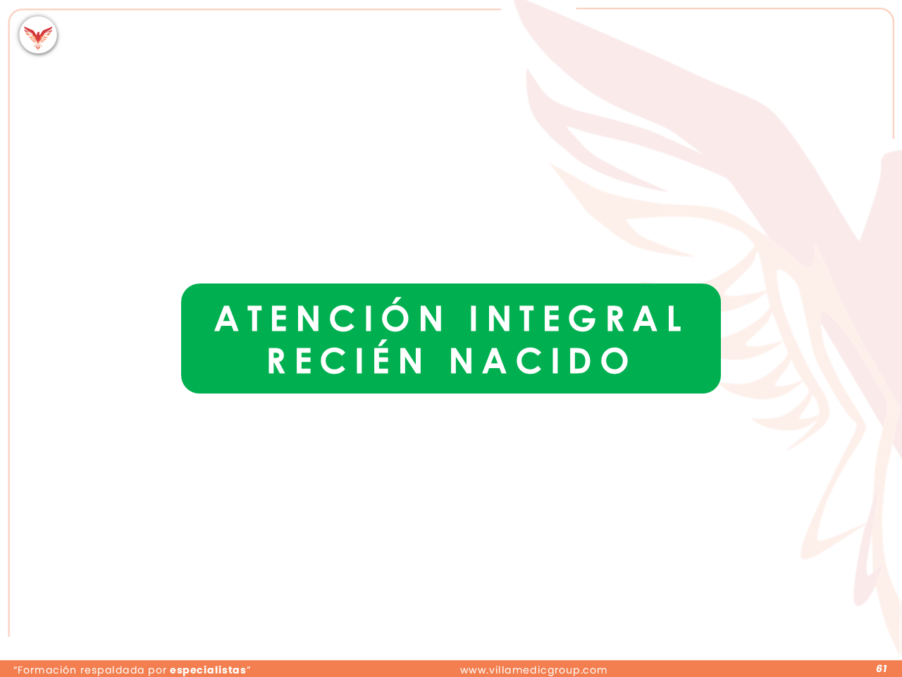 Slide 61