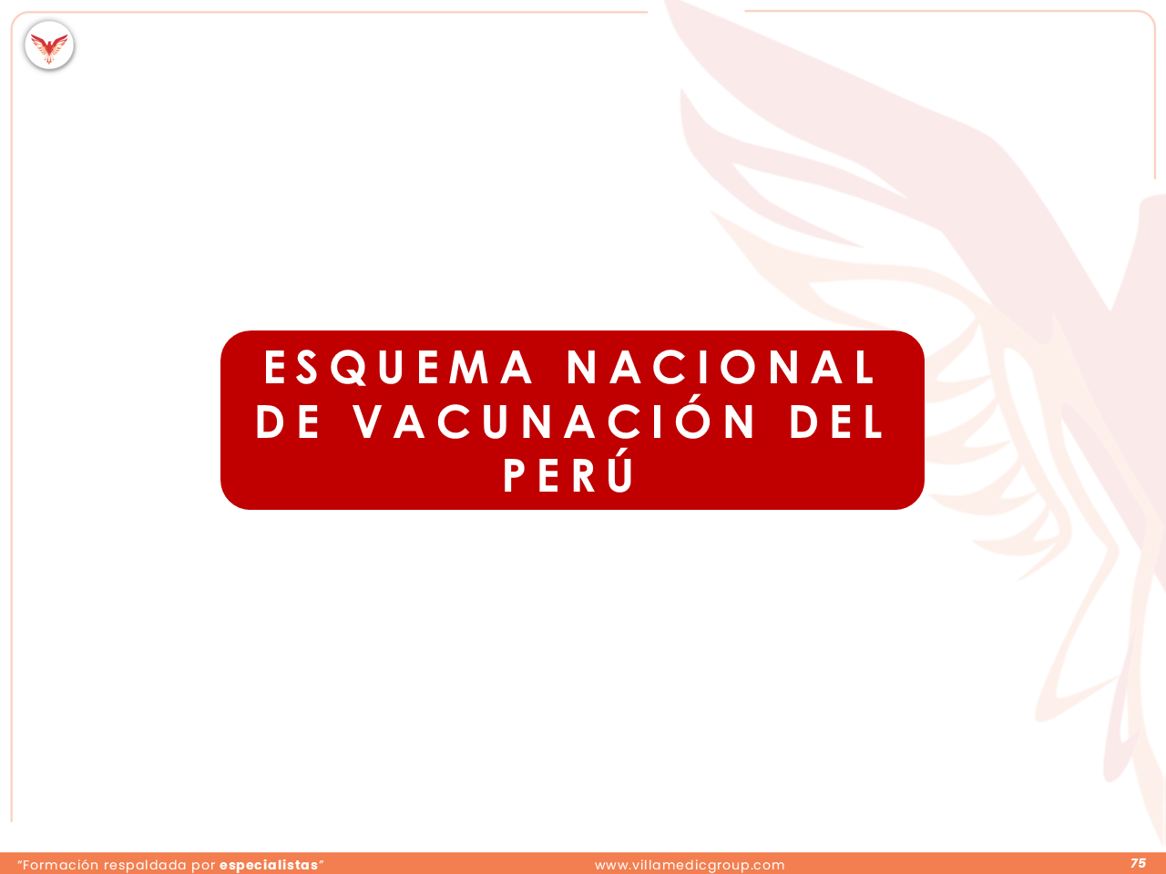 Slide 75