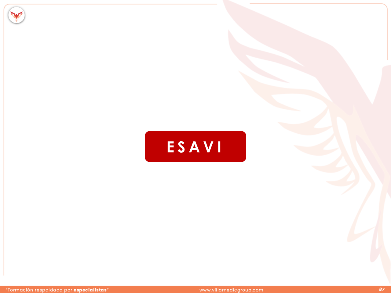 Slide 87