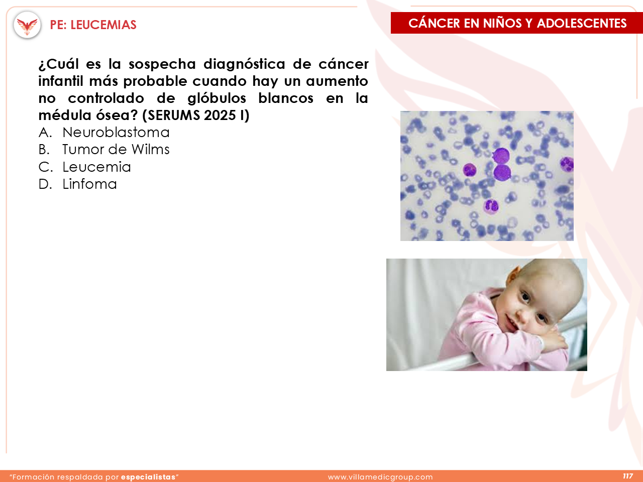 Slide 117