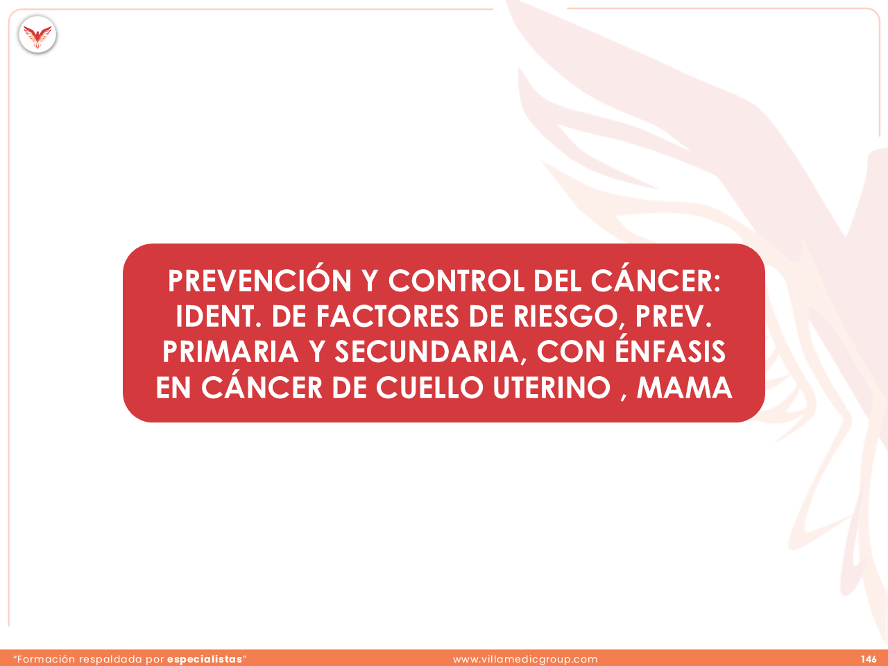 Slide 146