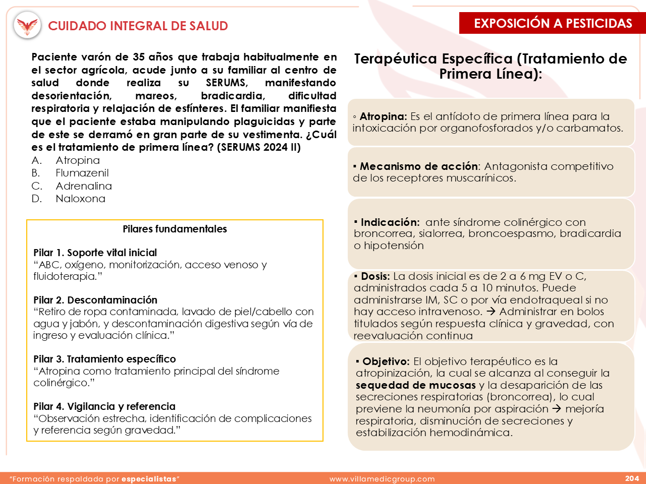 Slide 204