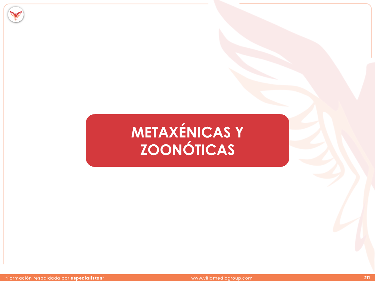 Slide 211
