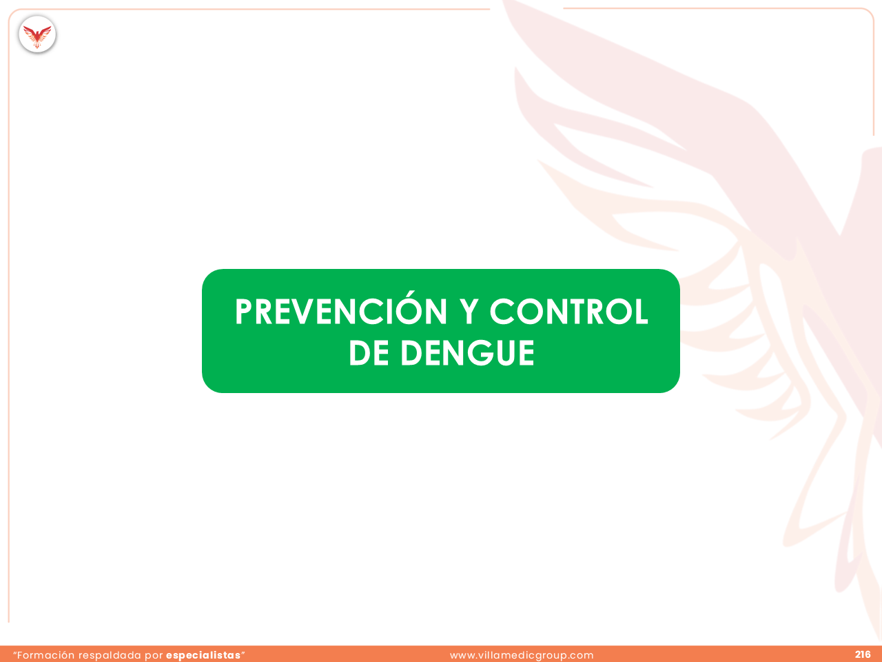 Slide 216