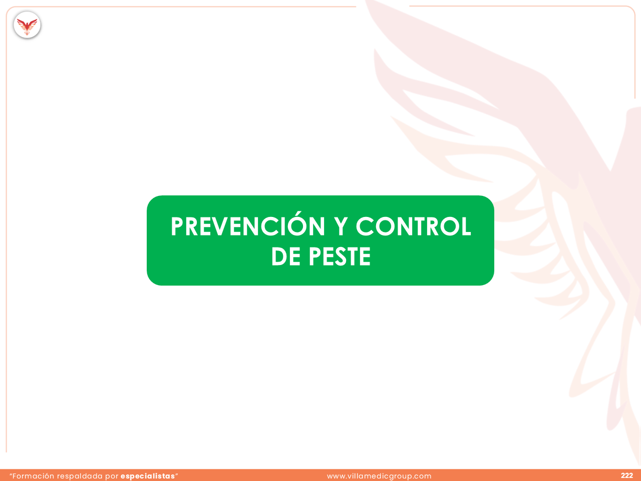 Slide 222