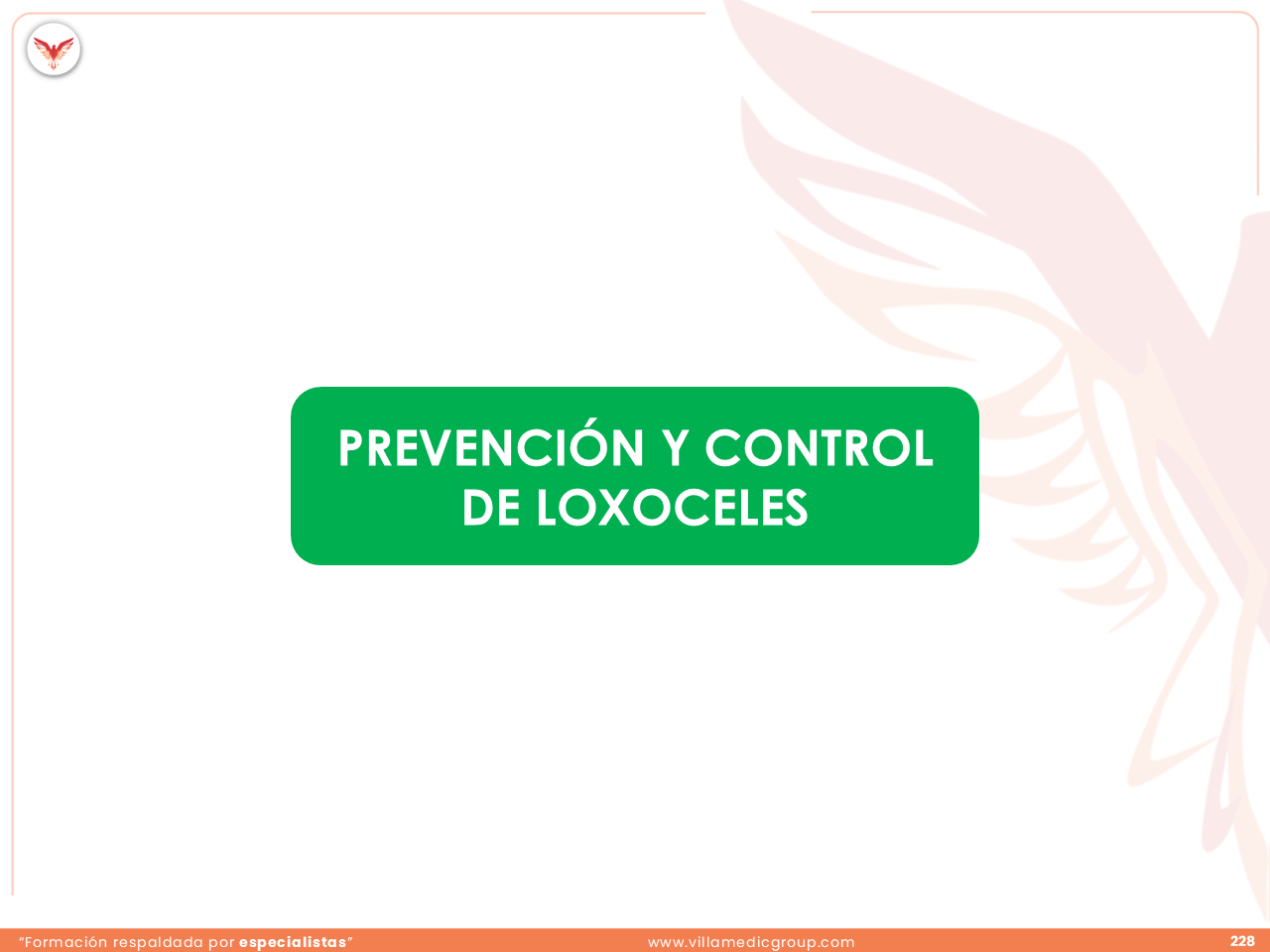 Slide 228
