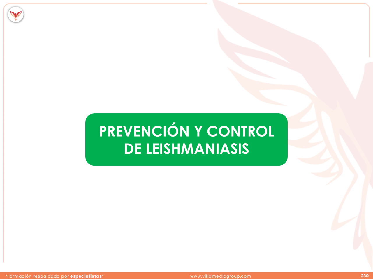 Slide 230
