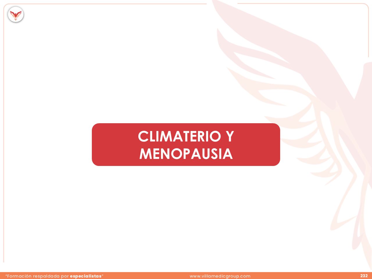 Slide 232