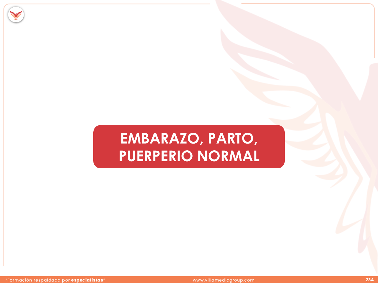 Slide 234