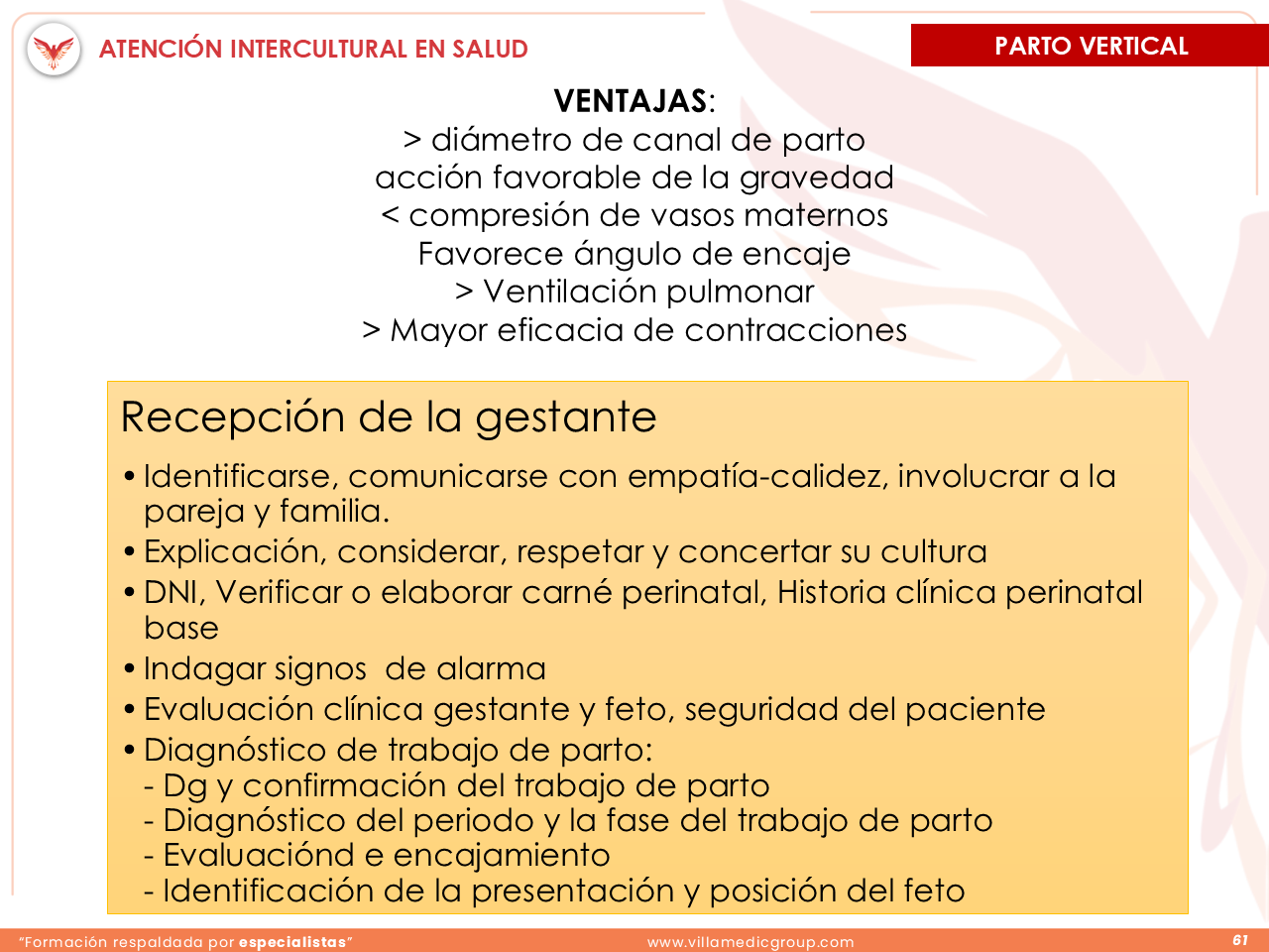 Slide 61