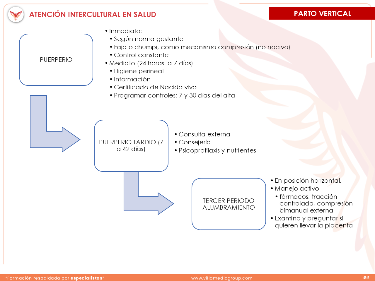 Slide 64
