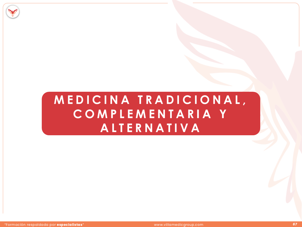 Slide 67