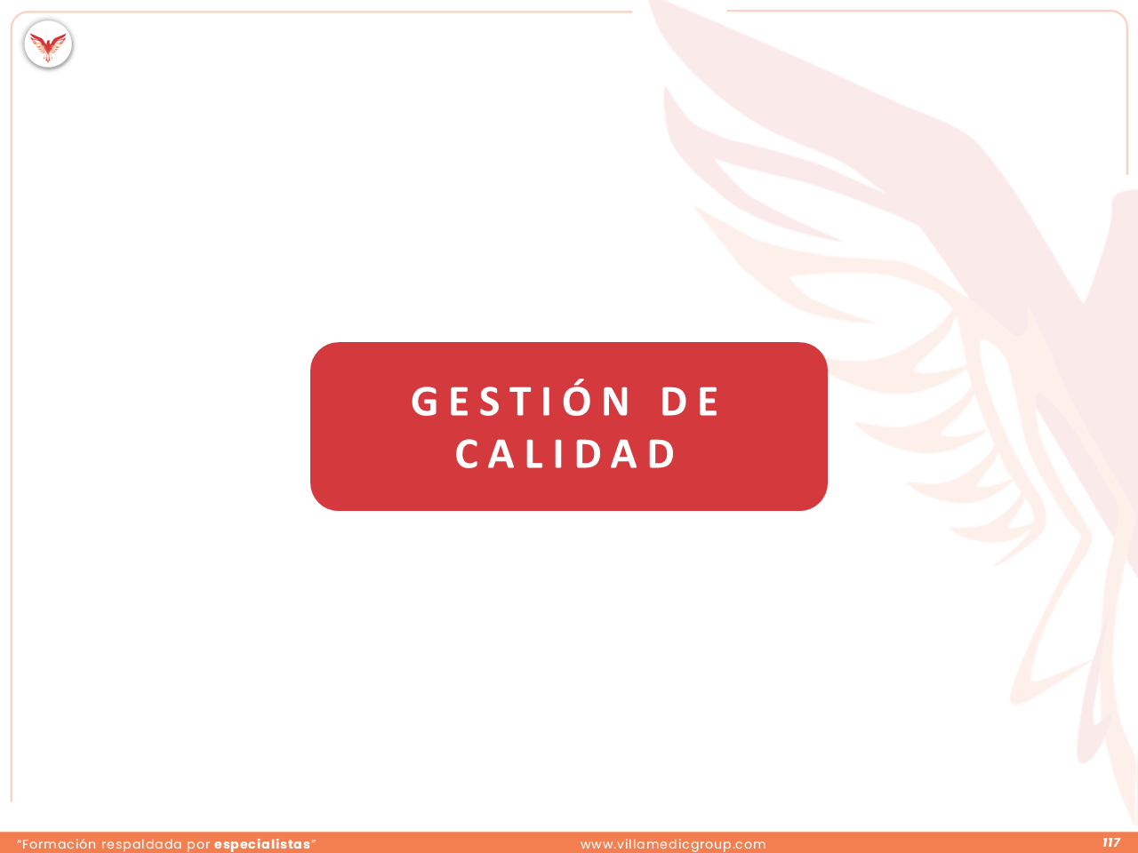 Slide 117