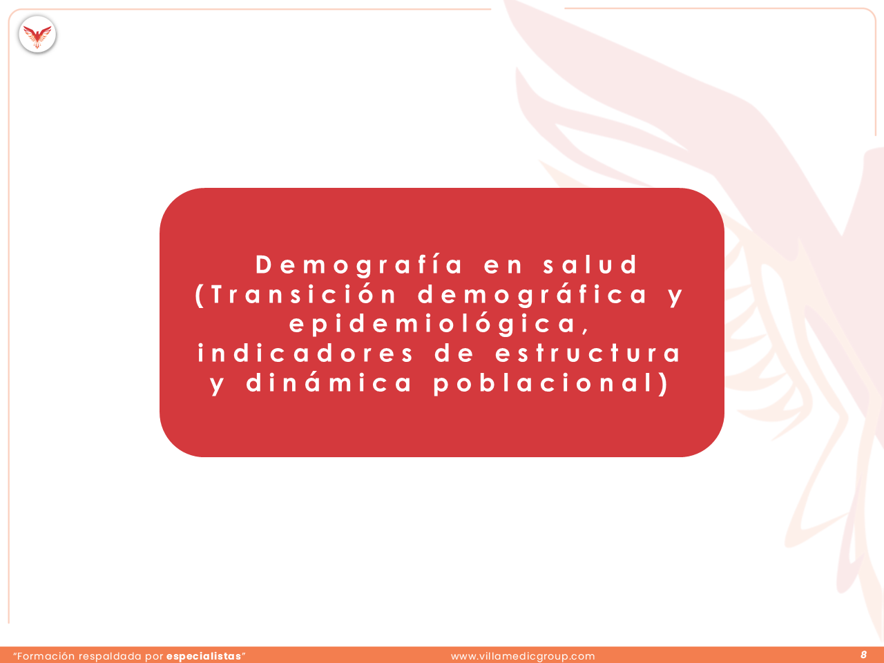 Slide 8