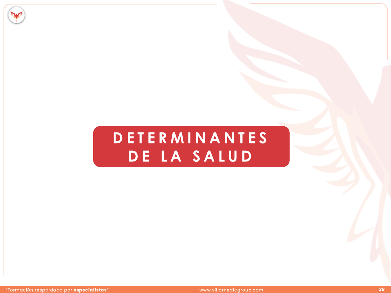 Slide 29